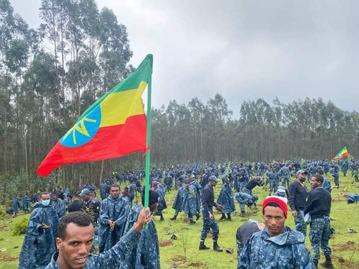 የፌደራል ፖሊስ ኮሚሽን አባላት በእንጦጦ የአረንጓዴ አሻራ ችግኝ ተከሉ ።