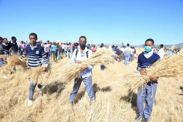 ዘመቻ በትምህርት ልማት ግምባር በድል ተጠናቋል !!