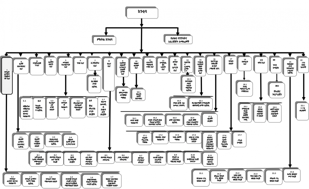 Organizational structure