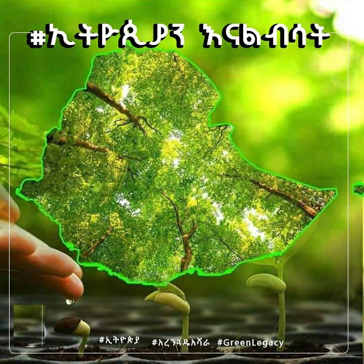 #አረንጓዴ_አሻራ!!