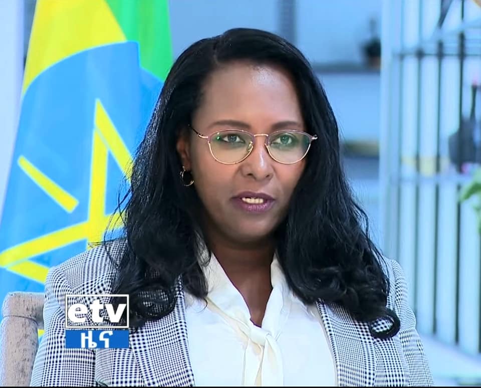 ከንቲባ ወ/ሮ አዳነች አቤቤ ከኢቢሲ ጋር ባደረጓቸው ቆይታ ያነሷቸው ሃሳቦች ዋና ዋና ነጥቦች፡-