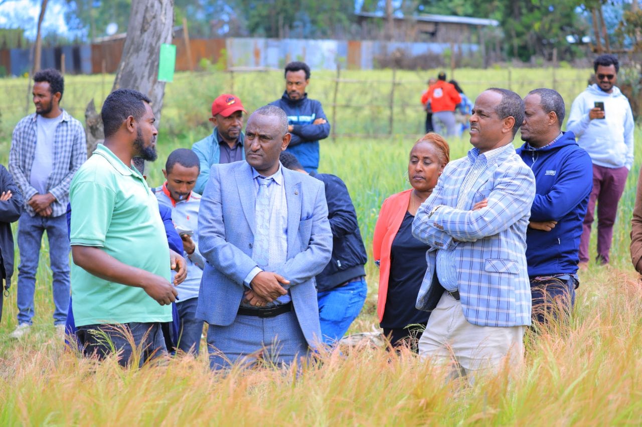 በለሚኩራ ክፍለ ከተማ እየተከናወነ ያለው የከተማ ግብርና  ውጤታማ መሆኑን ተገለፀ፡፡ 
